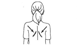 Retrazione delle scapole Retrazione delle scapole
